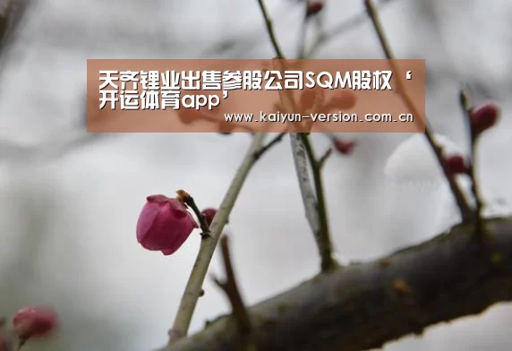 天齐锂业出售参股公司SQM股权‘开运体育app’(图1) 开运体育